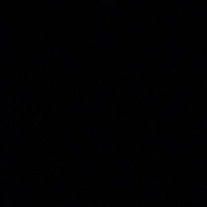 Meet your Posher, Ally